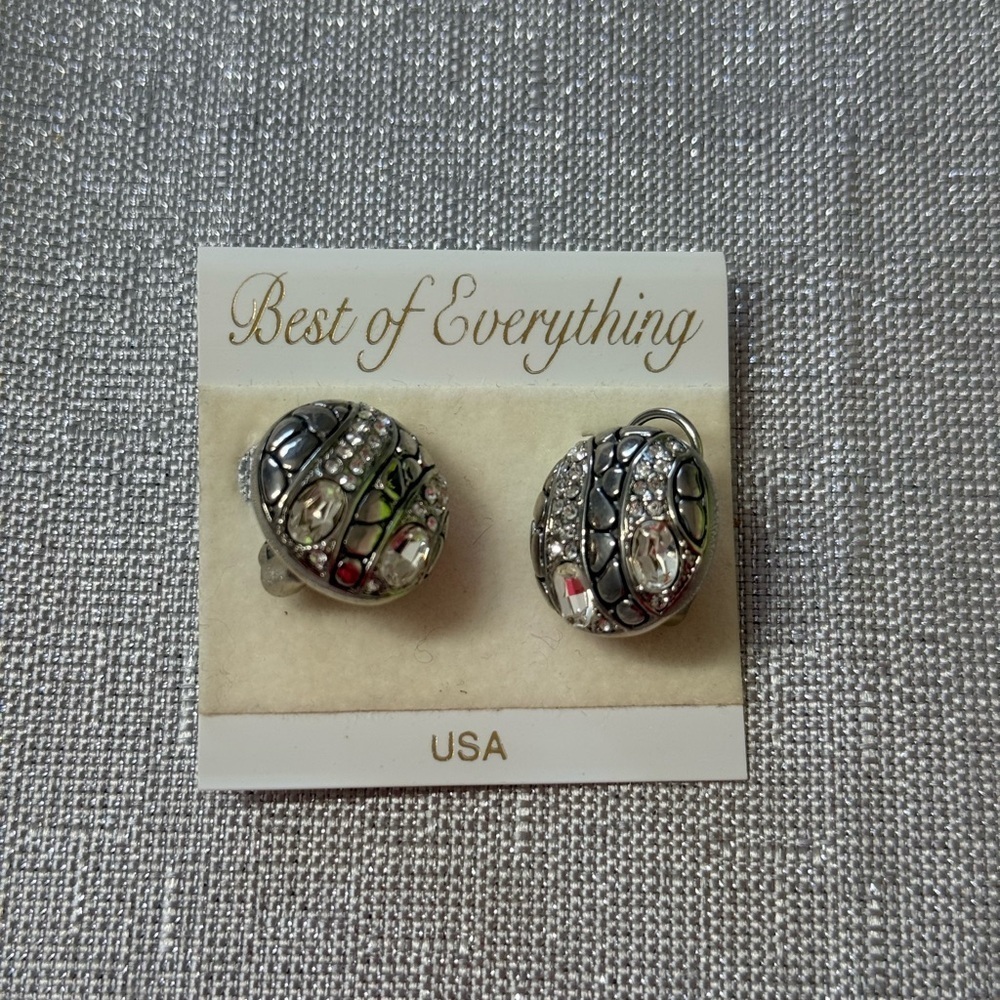 Silver Earrings